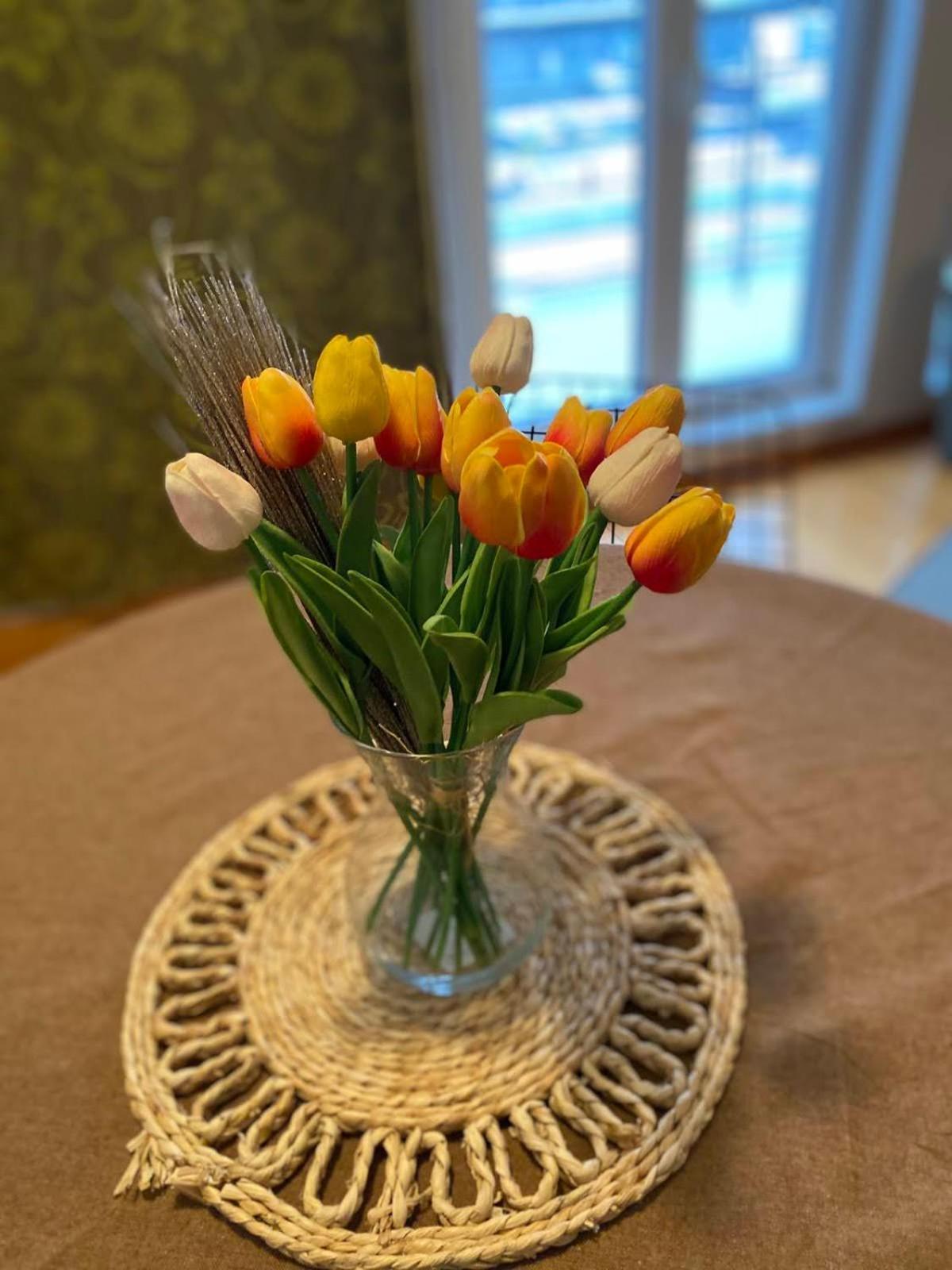 Apartamento Garmani Vrnjačka Banja Habitación foto